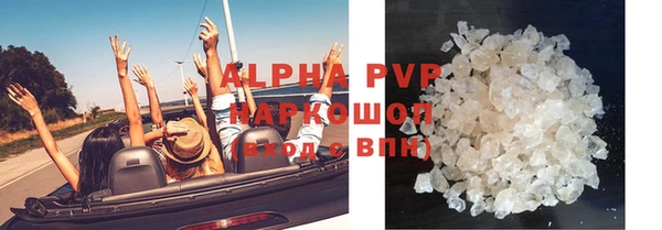 трава Магас