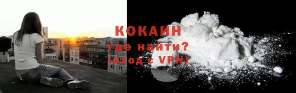 твердый Майский