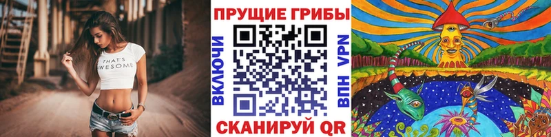 Псилоцибиновые грибы MAGIC MUSHROOMS  Константиновск 